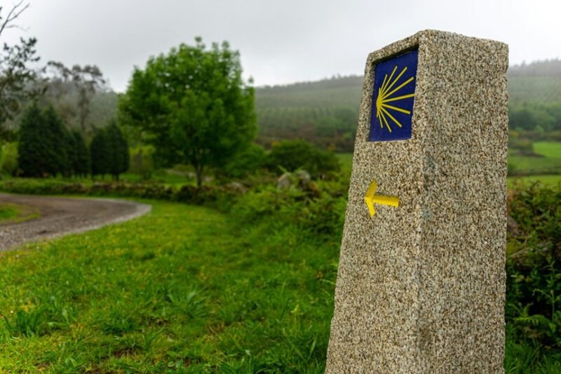 Tatuaje Camino De Santiago